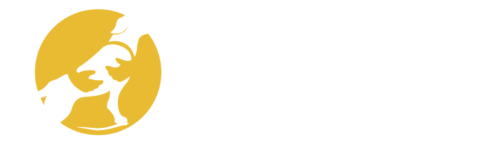 Safety First Dog Kennels